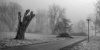 Andreas Herrmann &quot;Nebel im Paradies&quot;